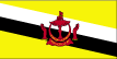 Country Flag