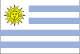 Country Flag