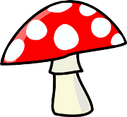 Image result for fungi facts for kids