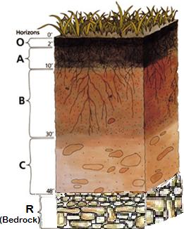 Science homework rocks and soils
