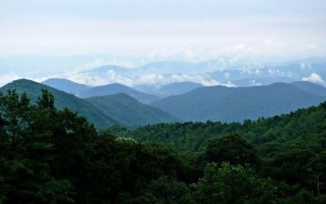 Temperate Forest biome