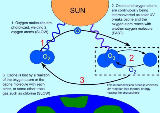 What is destroying the ozone layer?