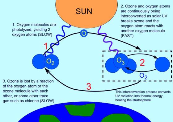 Essay on ozone layer