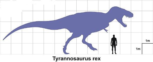 Tyrannosaurus rex, Description, Dinosaur, & Facts