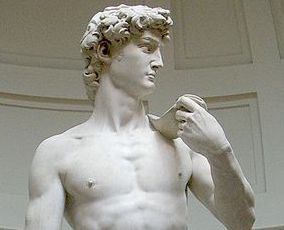 Michelangelo's David (top half)