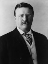 President Theodore Roosevelt (Teddy)
