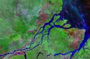 Amazon River Delta