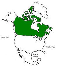canadian shield map kids