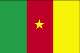 Country of Cameroon Flag