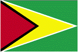 Country of Guyana Flag