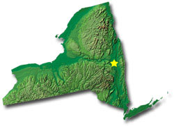 New York State Map