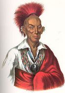 Chief Black Hawk