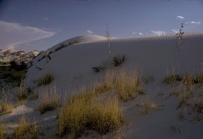 White Sands National Monument