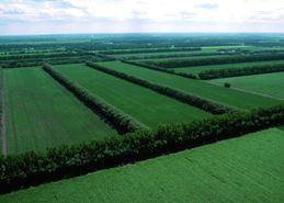 Farms in North Dakota