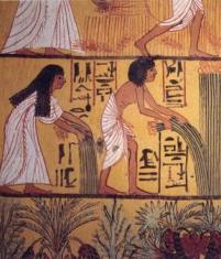 how much money did the average ancient egyptian make