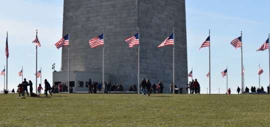 Flags on flagpoles around the Washington Monument in D.C.