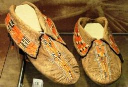 moccasin shoe