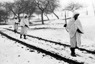 Battle of the bulge soldiers in white
