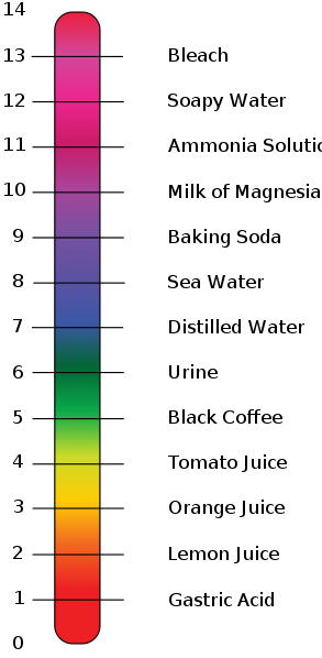 Acids And Bases Ph Scale Chart