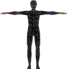 Science Human Body Art