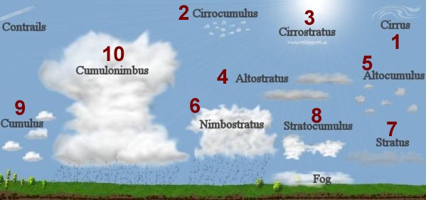 Types Of Clouds Chart For Kids