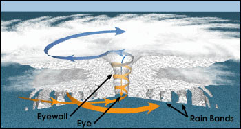 Fun Hurricane Facts For Kids To Print And Learn