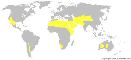 biome biomes science deserts habitat