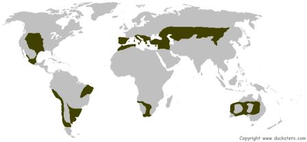 Map of the grasslands biome