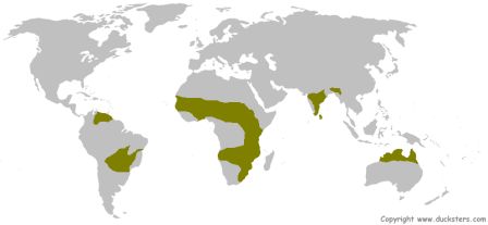 Map of the savanna biome