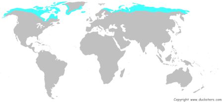 Map of the tundra biome