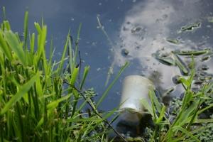 Environment for Kids: Water Pollution