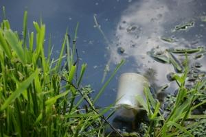 water pollution effects on animals and plants