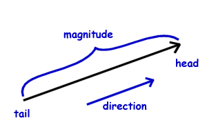 Physics For Kids Scalars And Vectors