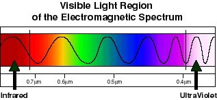 Physics for Kids: Light Spectrum