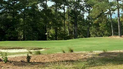 The golf flag and green