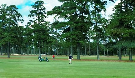 Golfers on a golf course playing golf